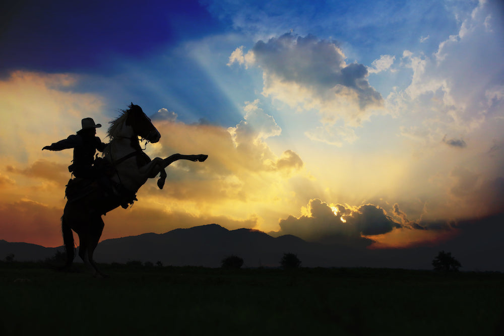 Iconic cowboy riding a bucking bronco on the range at sunset.