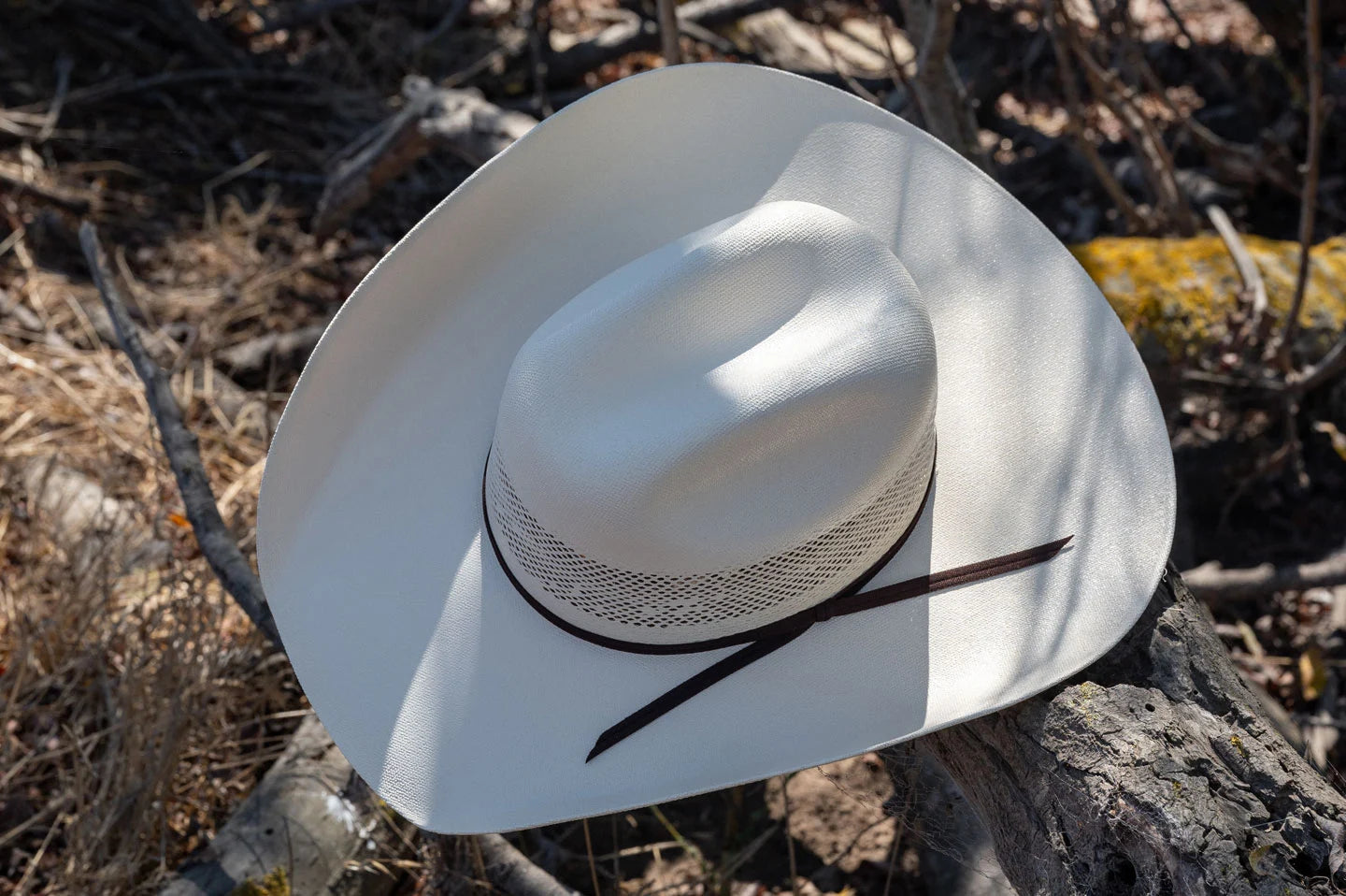 white straw cowboy hat resting on a tree branch in the woods