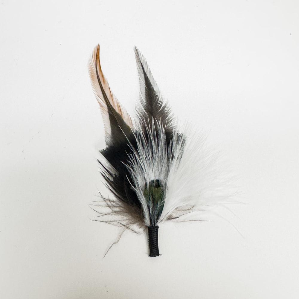 Ash | Hat Feather by American Hat Makers