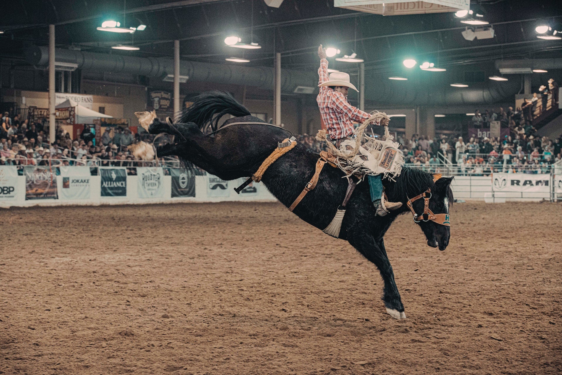 National Finals Rodeo (NFR): Experience Event Guide