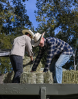 Lucas | Mens Mexican Palm Cowboy Hat