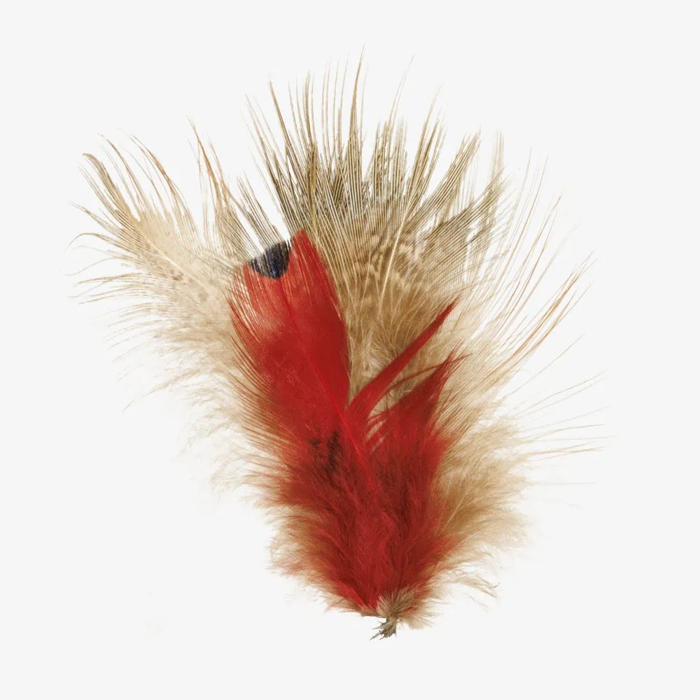 Aria | Red Hat Feather