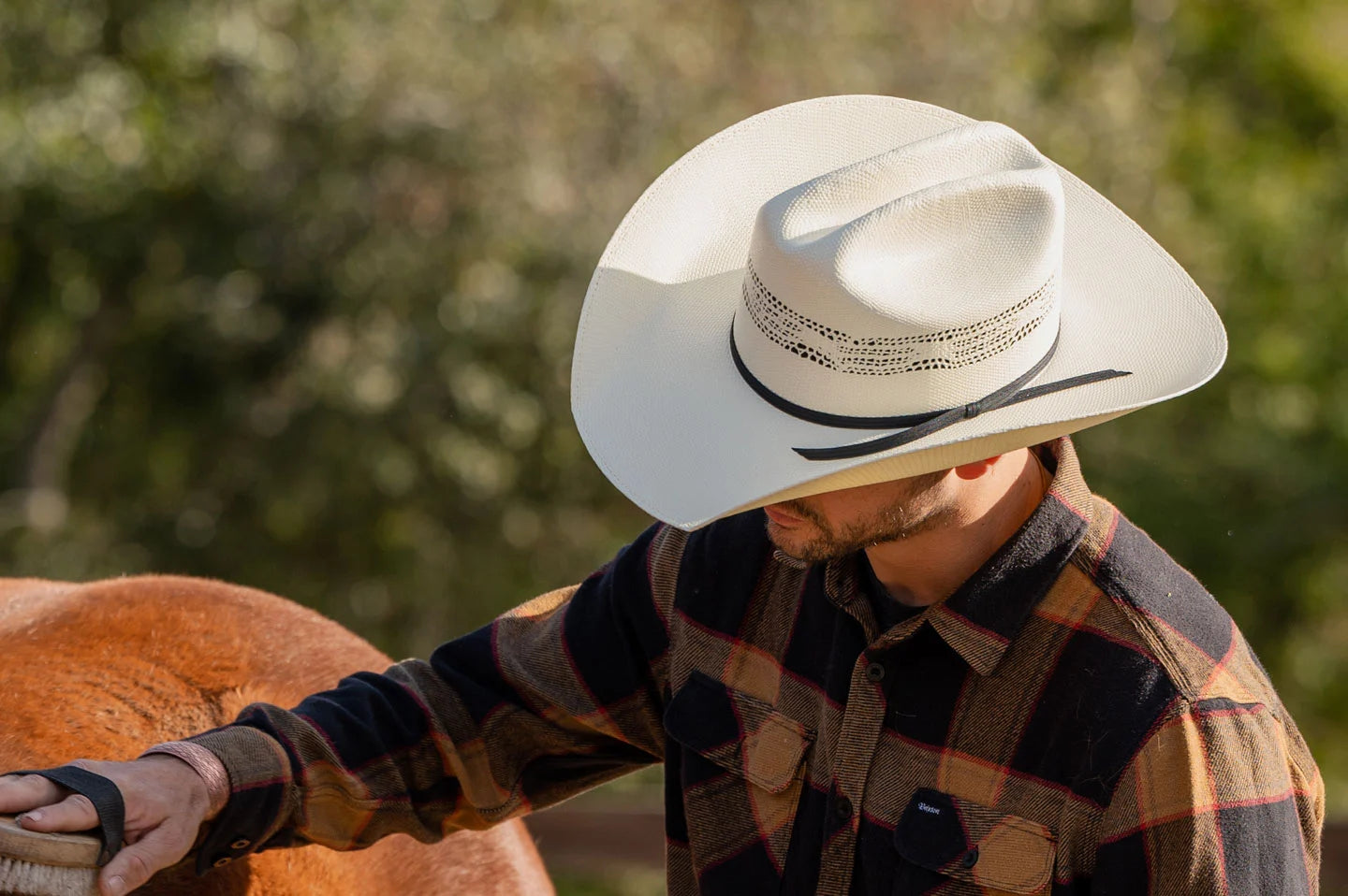 man brushing a horse wearing a plaid flannel and wearing a white straw 