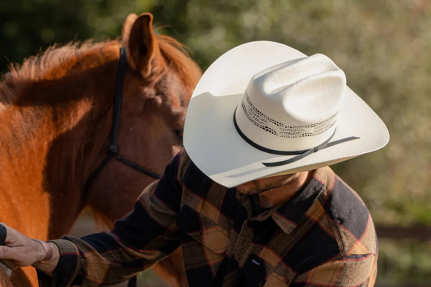 Cassius  Straw Cowboy Hat – American Hat Makers