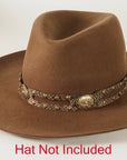 Brassy Hatband on a Tan Hat