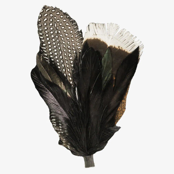 【if you have/Feather Hat】 Unisex Brixton Hat Feather in Bison/Mojave/Burnt Orange