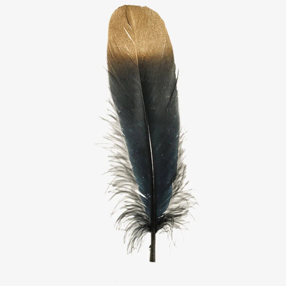 Goose | Goose Hat Feather