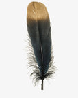 Goose | Goose Hat Feather