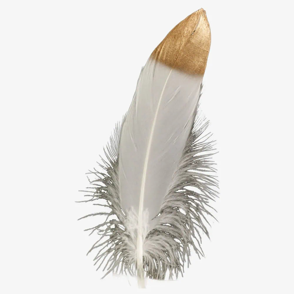 Goose | Goose Hat Feather