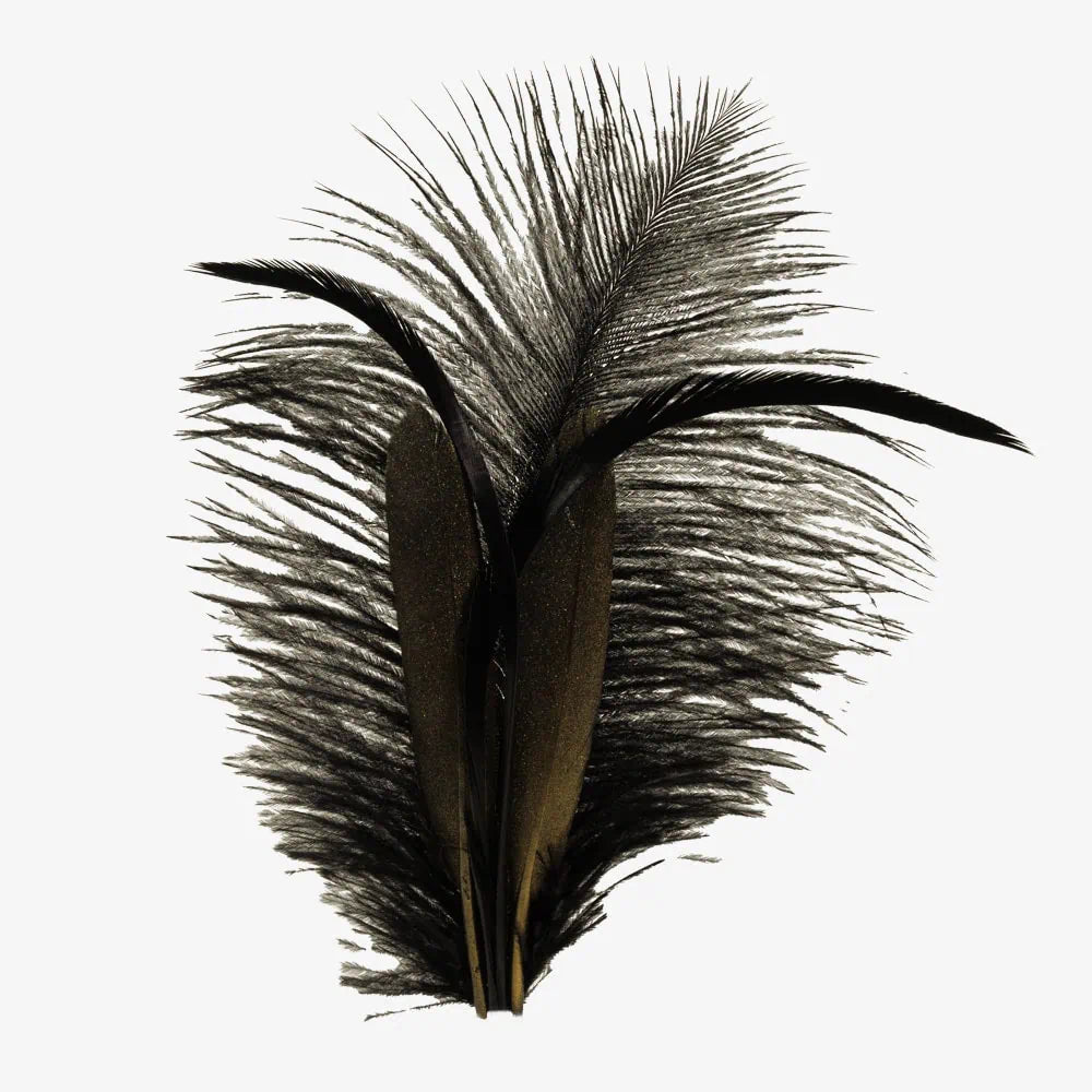 Olympia | Black Hat Feather