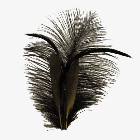 Olympia-Multi-Hat-Feather-