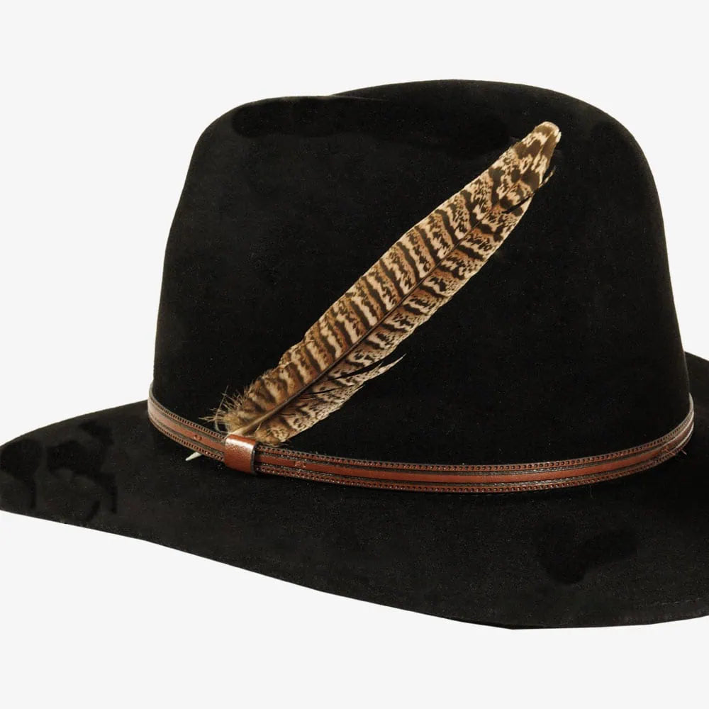 Ringneck | Vivid Hat Feather