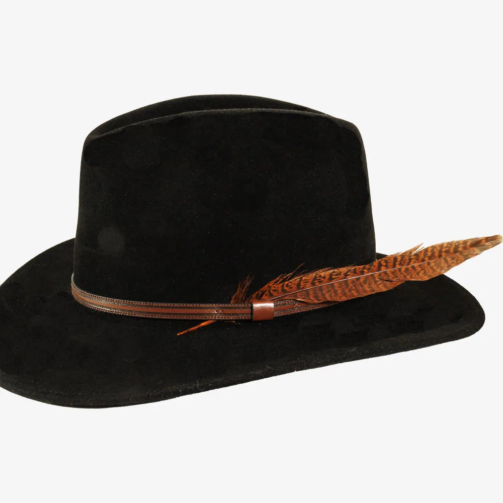 Ringneck | Vivid Hat Feather